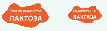 Laktaza-koliki-2